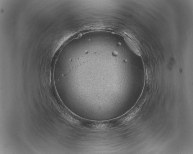 X0000069830301200605221214