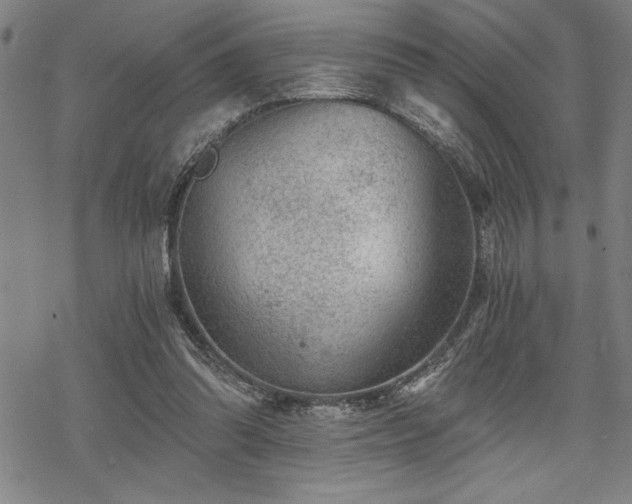 X0000069830302200605221214