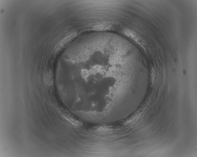 X0000069830303200605221214