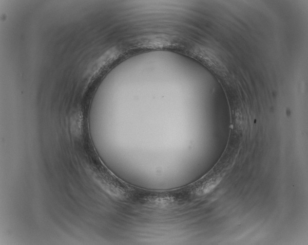 X0000069830304200605221214