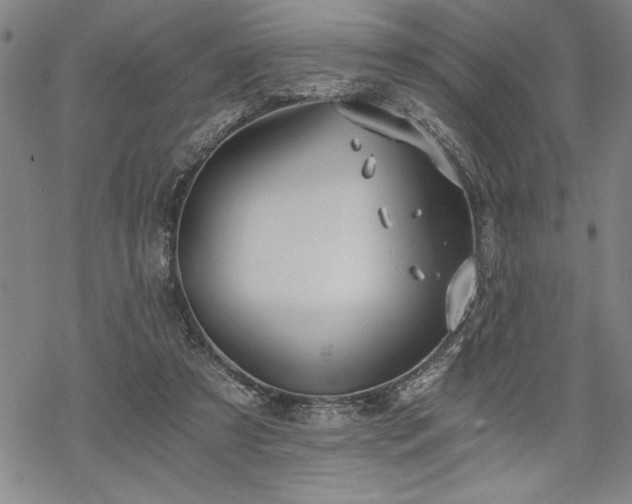 X0000069830305200605221214