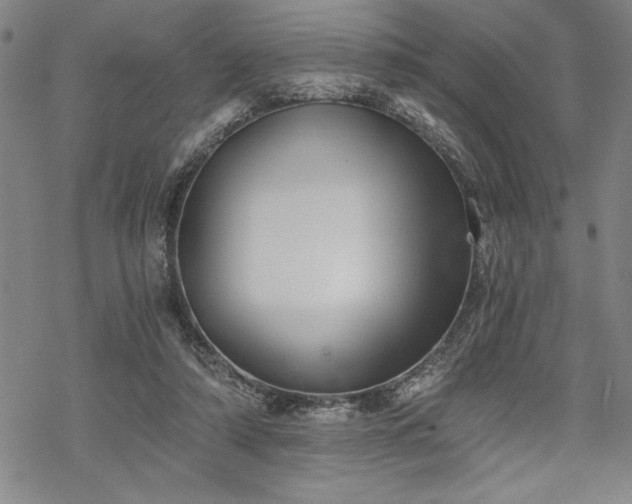 X0000069830306200605221214