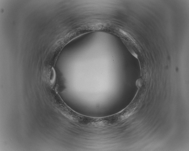 X0000069830307200605221214