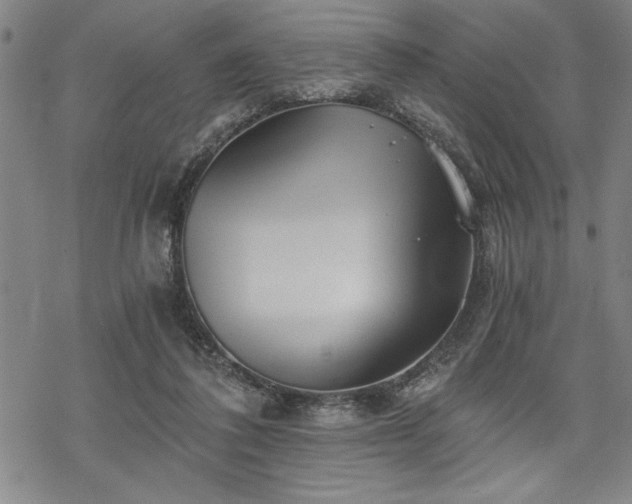 X0000069830308200605221213