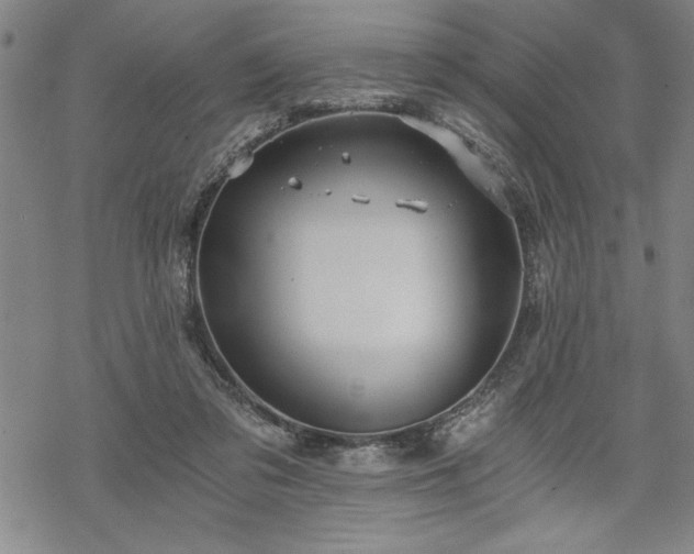 X0000069830309200605221213