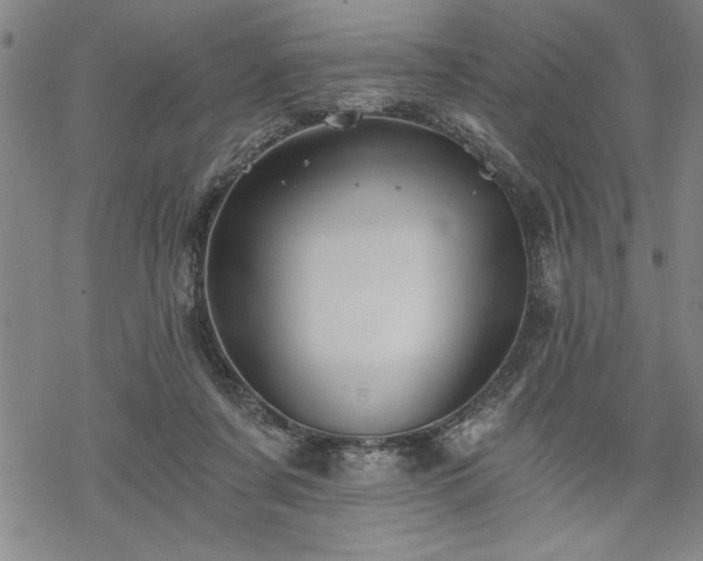 X0000069830311200605221213