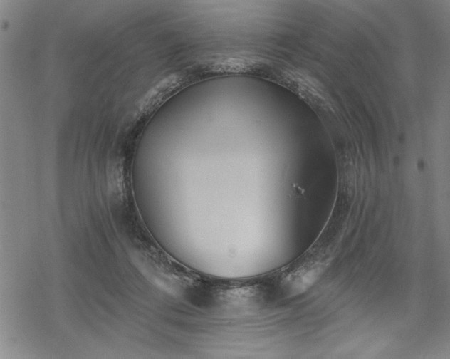 X0000069830312200605221213