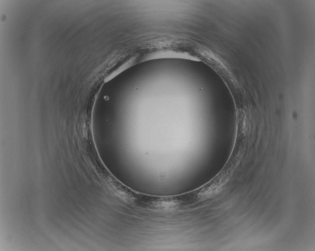 X0000069830313200605221213