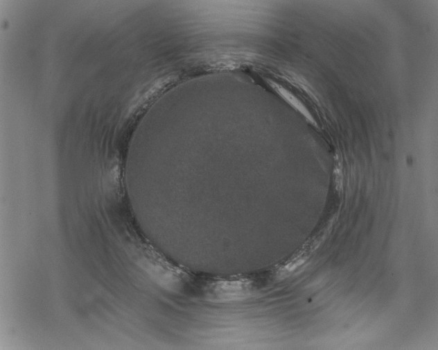 X0000069830314200605221213