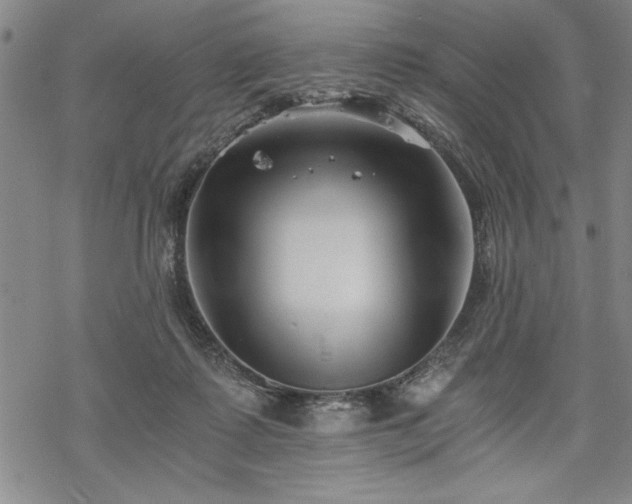 X0000069830315200605221213