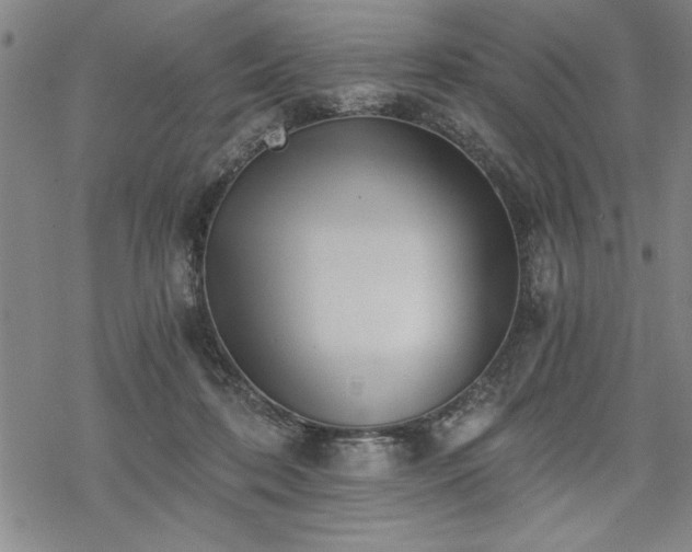 X0000069830316200605221213