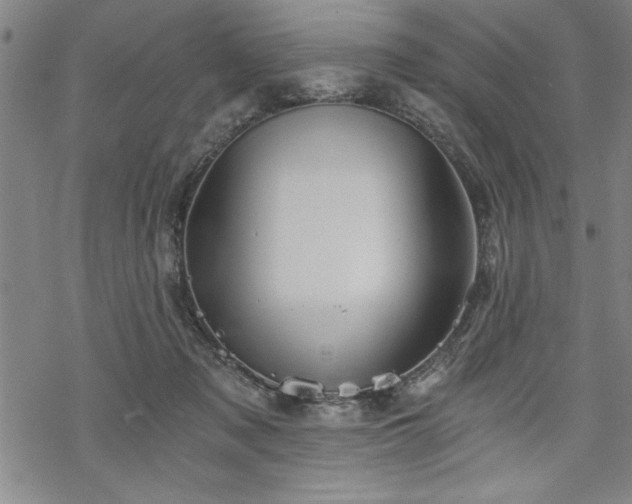 X0000069830317200605221213