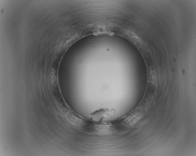 X0000069830318200605221213