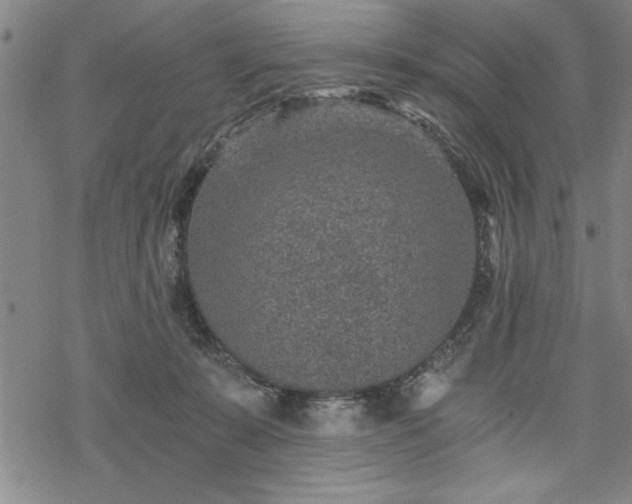 X0000069830319200605221213