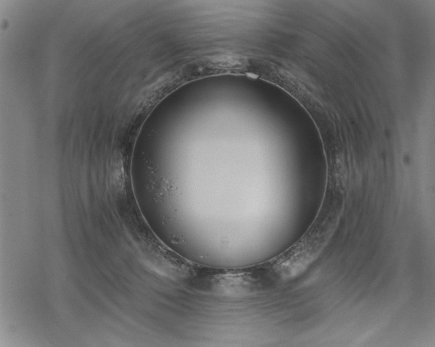 X0000069830320200605221213