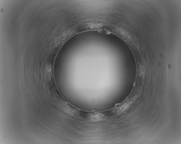 X0000069830321200605221213