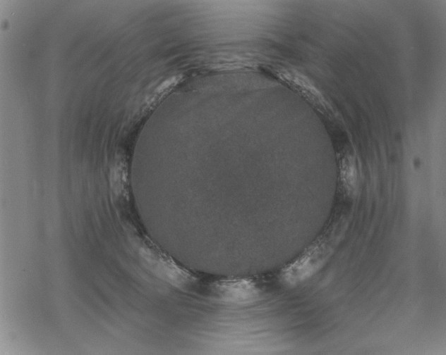 X0000069830322200605221213