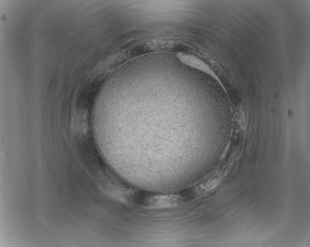 X0000069830323200605221213