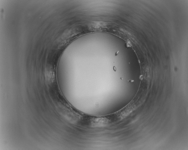 X0000069830324200605221213