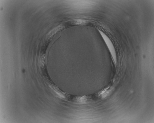 X0000069830325200605221213