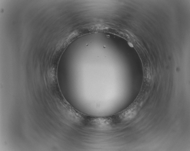 X0000069830326200605221213