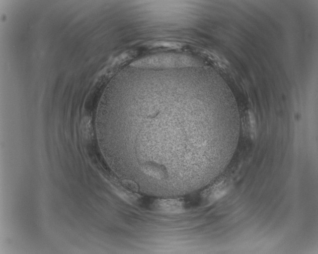 X0000069830327200605221213