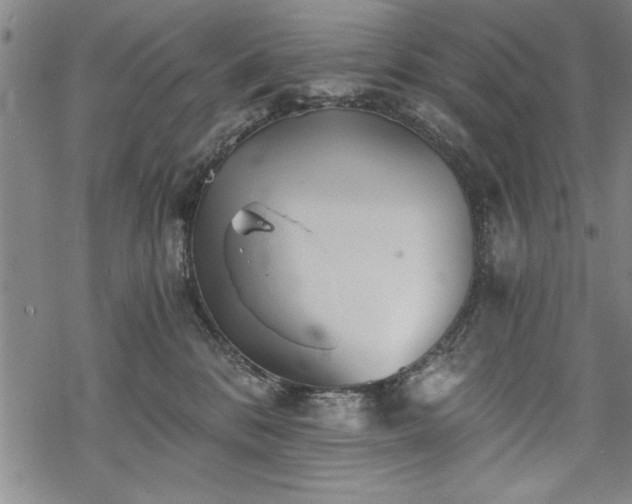 X0000069830328200605221213