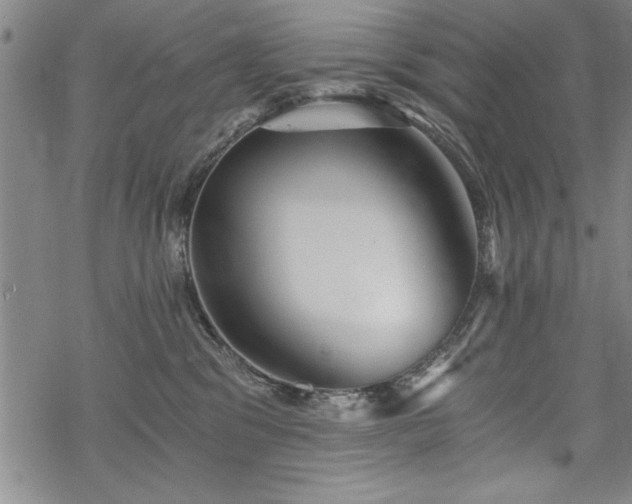 X0000069830329200605221213