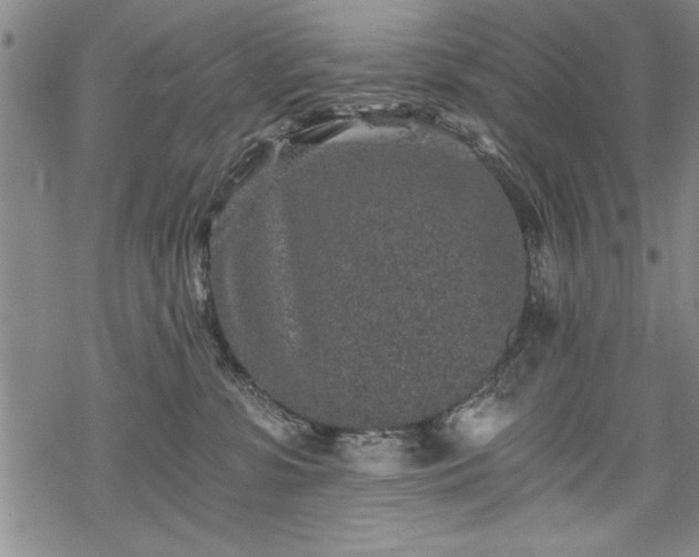 X0000069830331200605221213