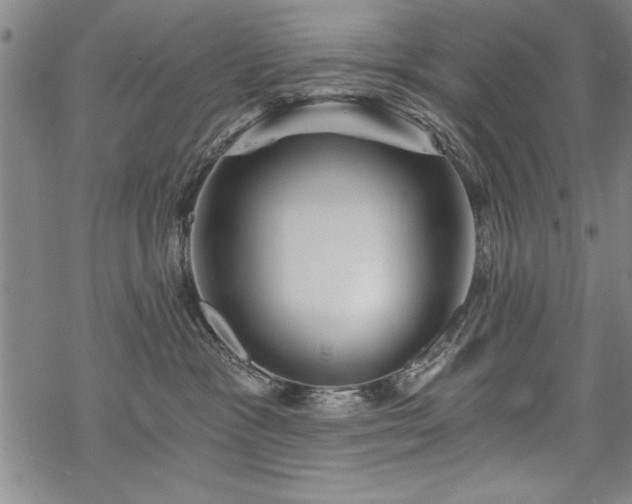 X0000069830333200605221213