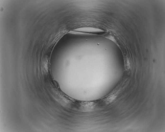 X0000069830334200605221213