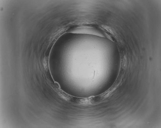 X0000069830335200605221213