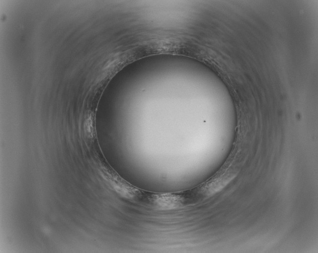 X0000069830336200605221213