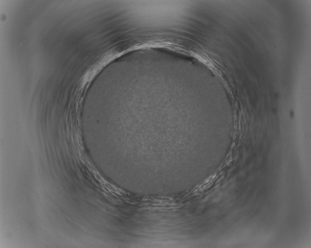 X0000069830337200605221212