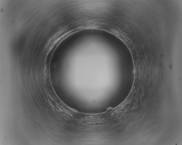 X0000069830338200605221212