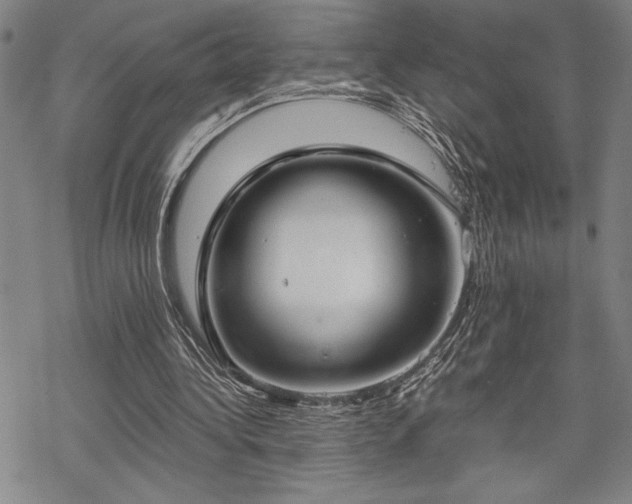 X0000069830340200605221212