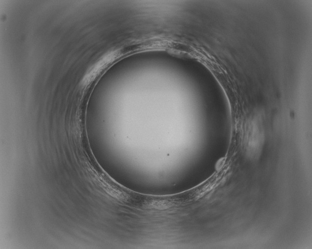 X0000069830341200605221212