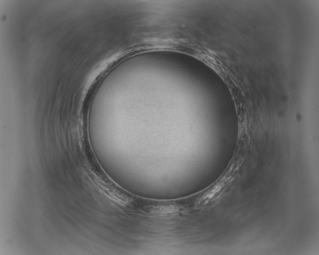 X0000069830342200605221212