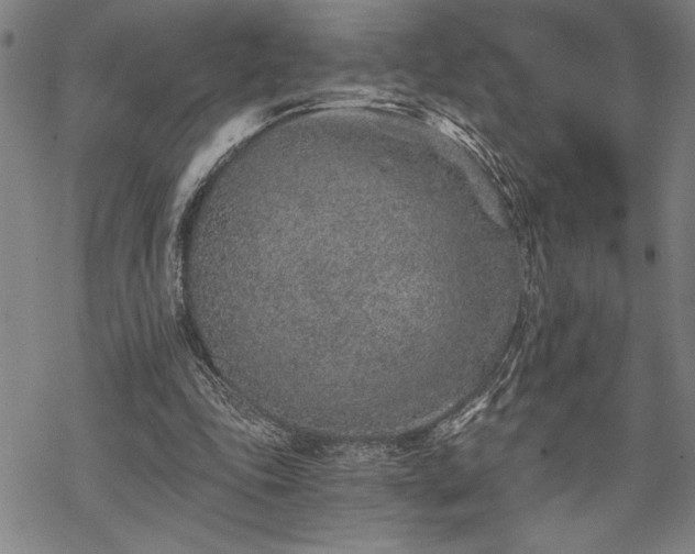 X0000069830343200605221212