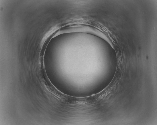 X0000069830344200605221212