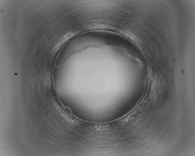 X0000069830345200605221212