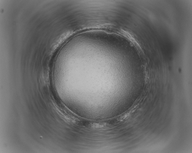 X0000069830346200605221212