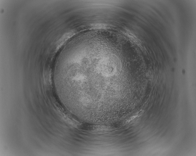 X0000069830347200605221212