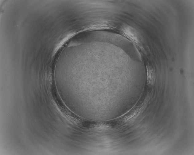 X0000069830348200605221212