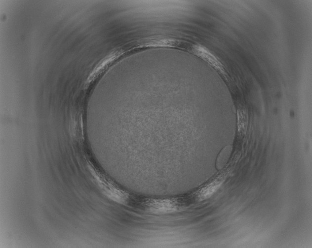 X0000069830349200605221212