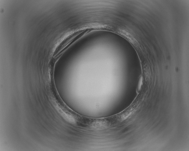 X0000069830350200605221212