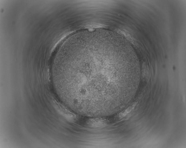 X0000069830351200605221212