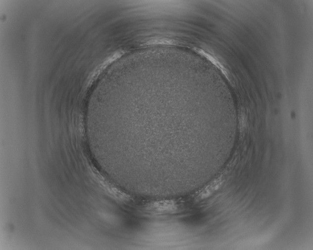 X0000069830353200605221212