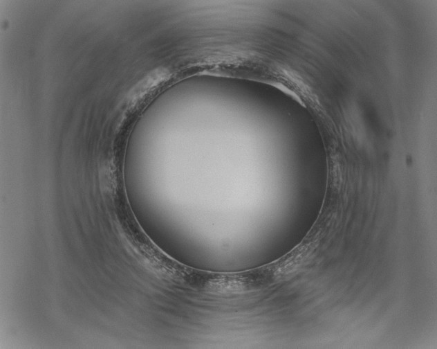 X0000069830354200605221212