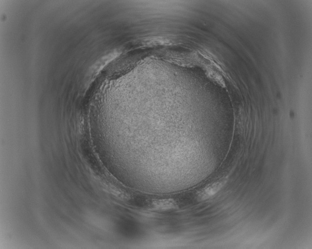 X0000069830355200605221213